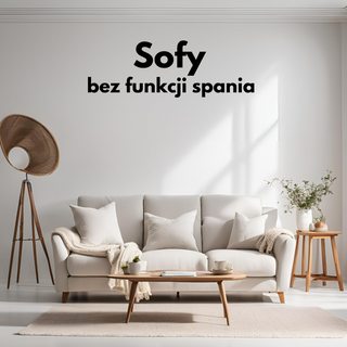 Sofy bez funkcji spania
